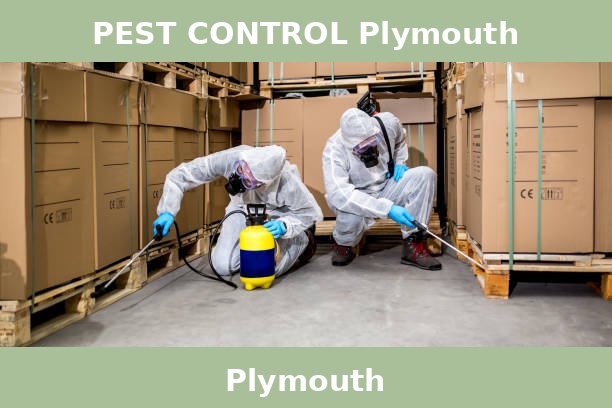 PEST CONTROL Plymouth